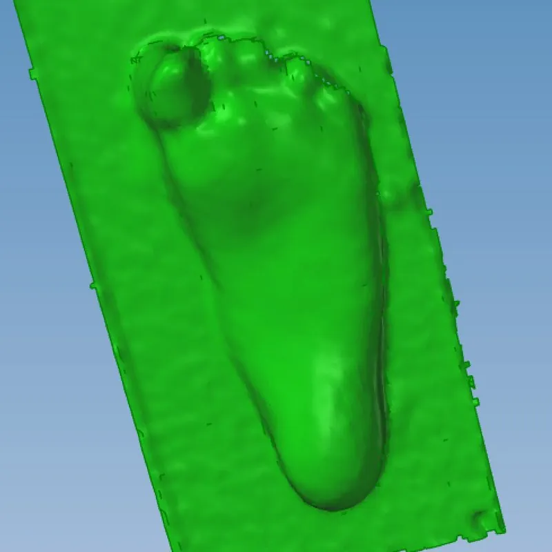 Malha da digitalização 3D de um pé tal como chega ao software de desenho
